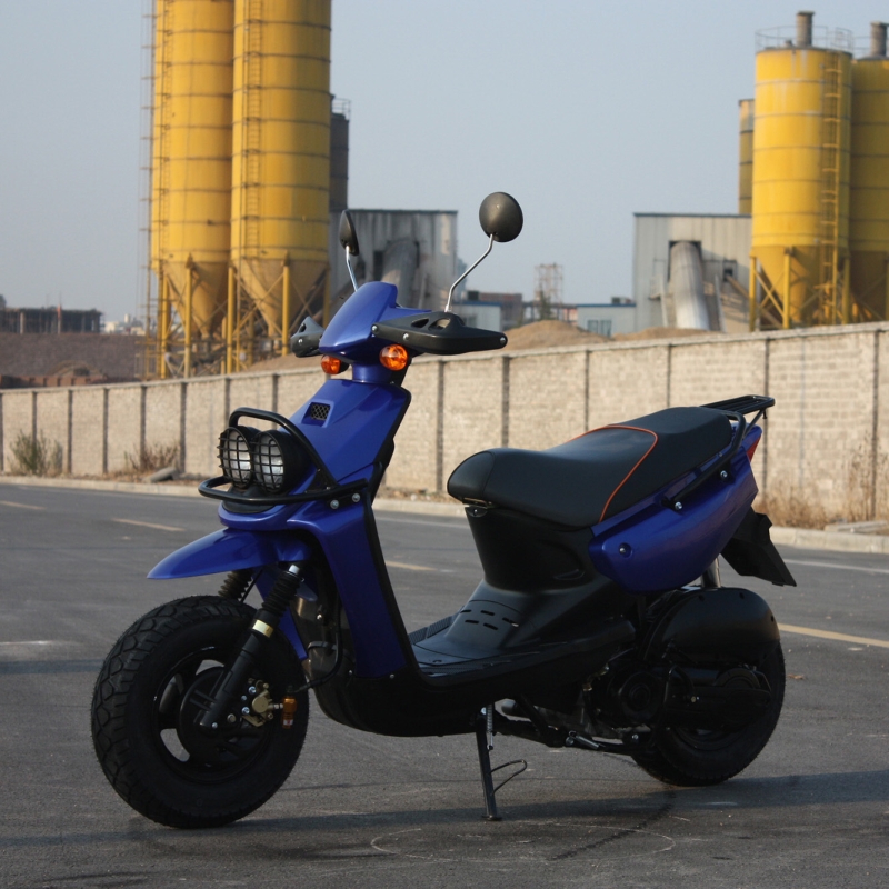 BWS100